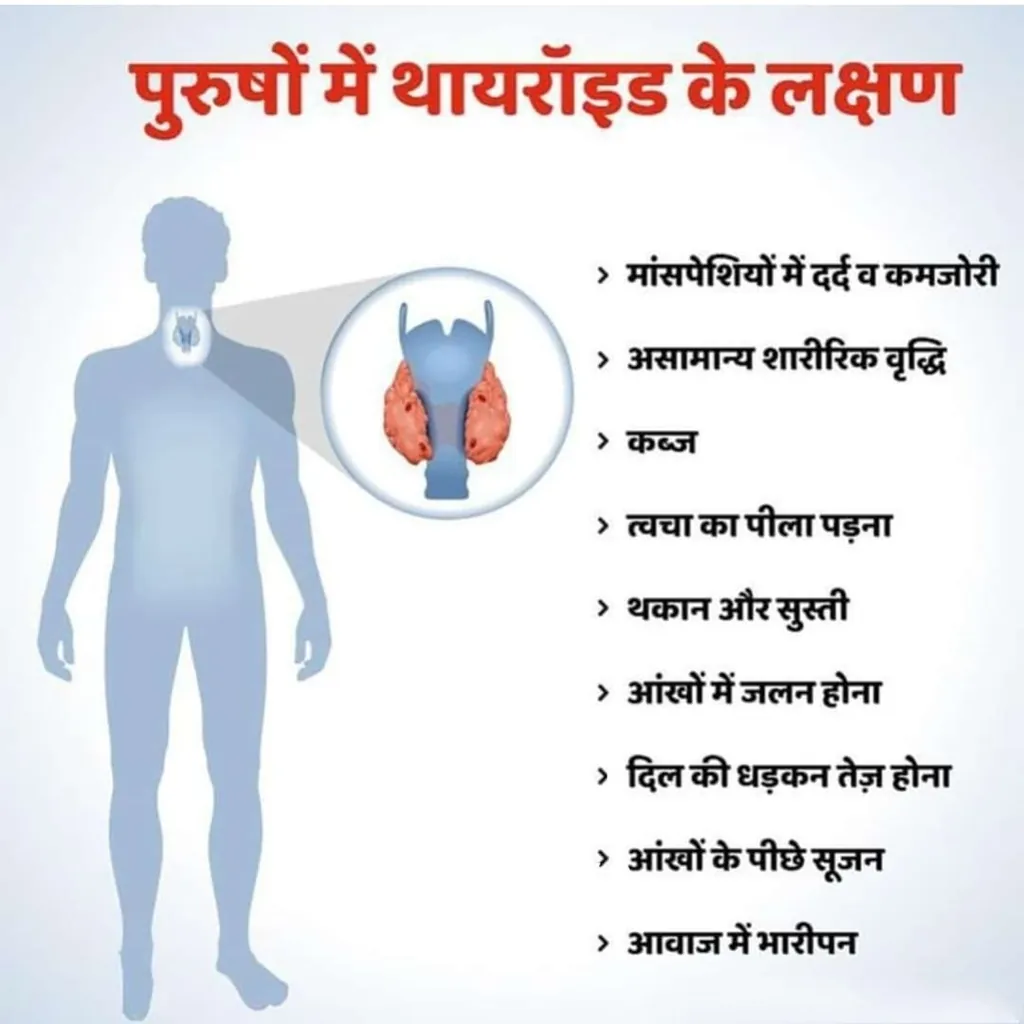 IMG-20250328-WA0093_webp